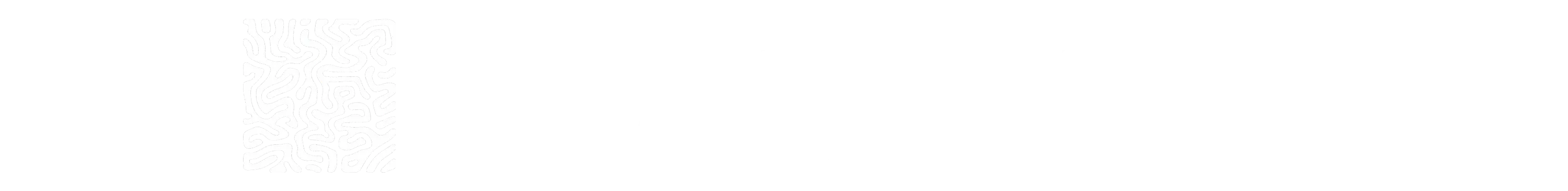 Loopsy