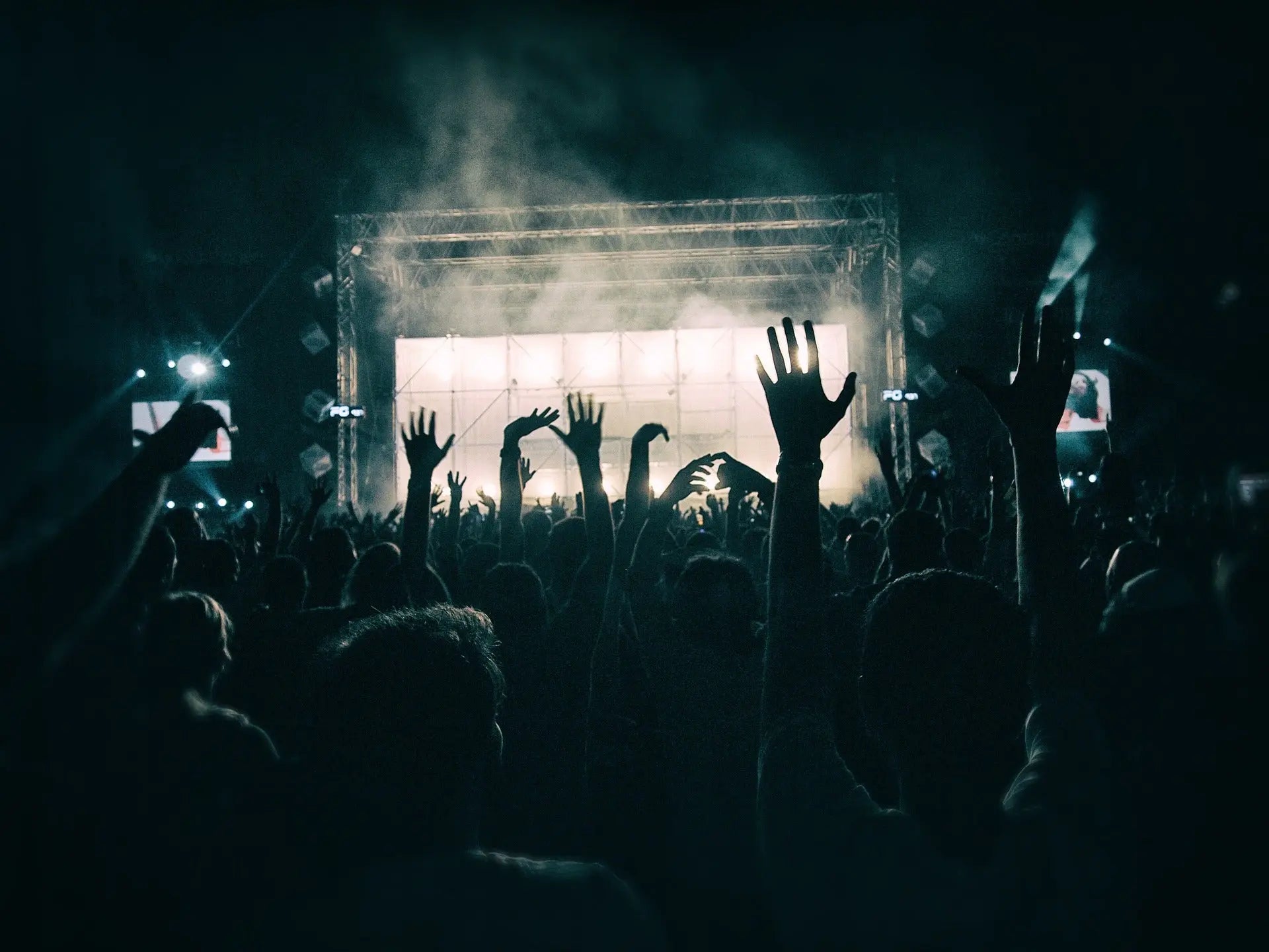 Why-EDM-Phonk-is-Better-than-Other-EDM-Genres Loopsy
