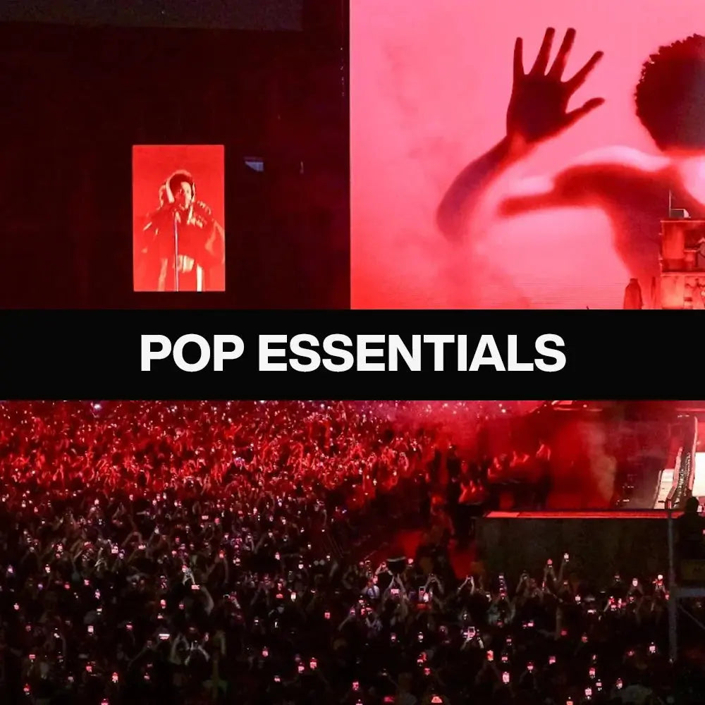 Pop Loopsy