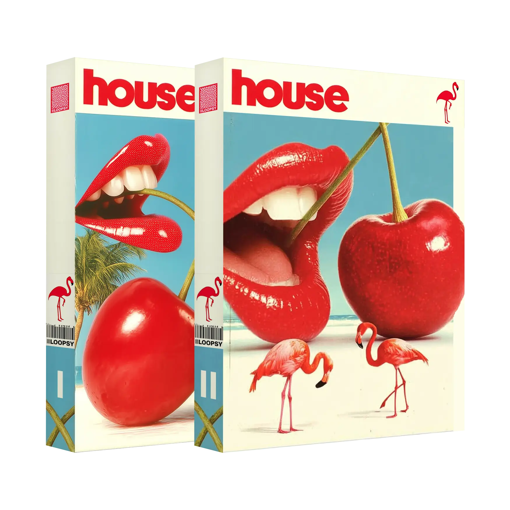 HOUSE Bundle