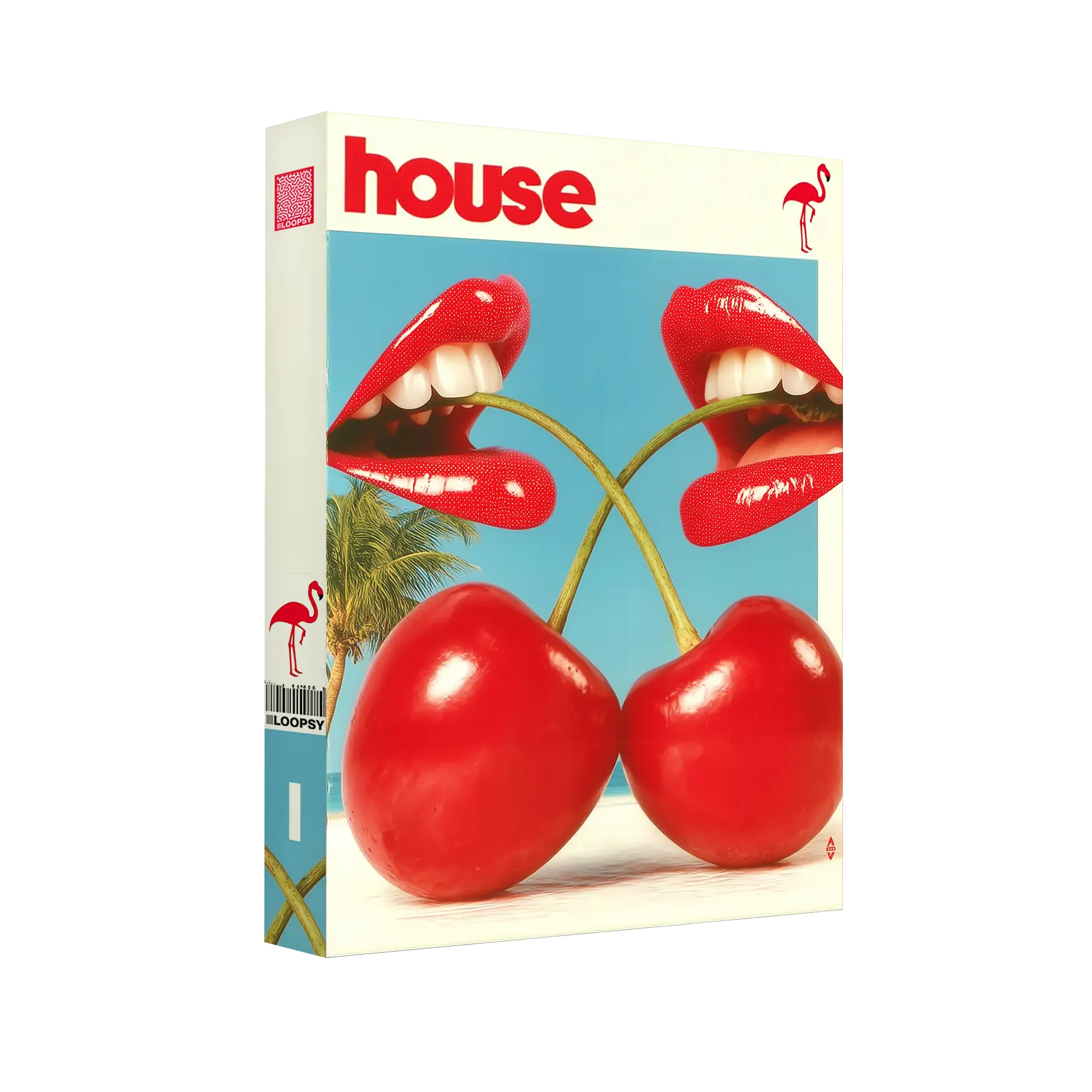 HOUSE Vol. 1